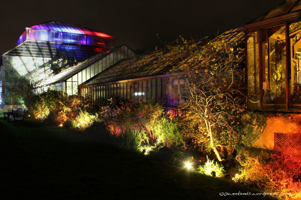 City Stories: Glasgow’s Electric Gardens